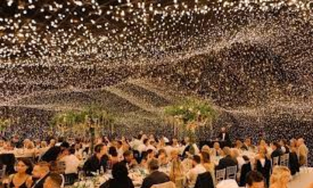 Event tree - Sound Light and Led Screen Rental company, Bangalore